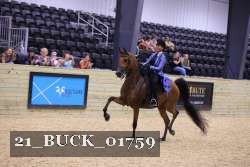 21_BUCK_01759 proof