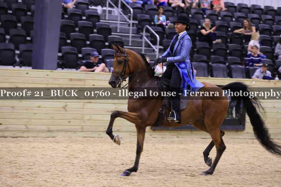 Proof 21_BUCK_01760