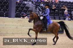 21_BUCK_01760 proof