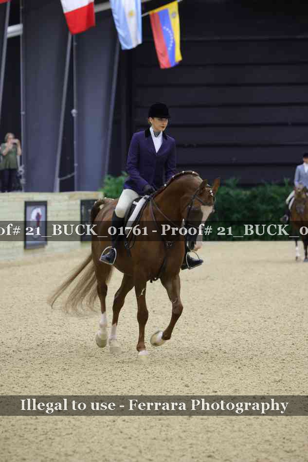 Proof 21_BUCK_01761