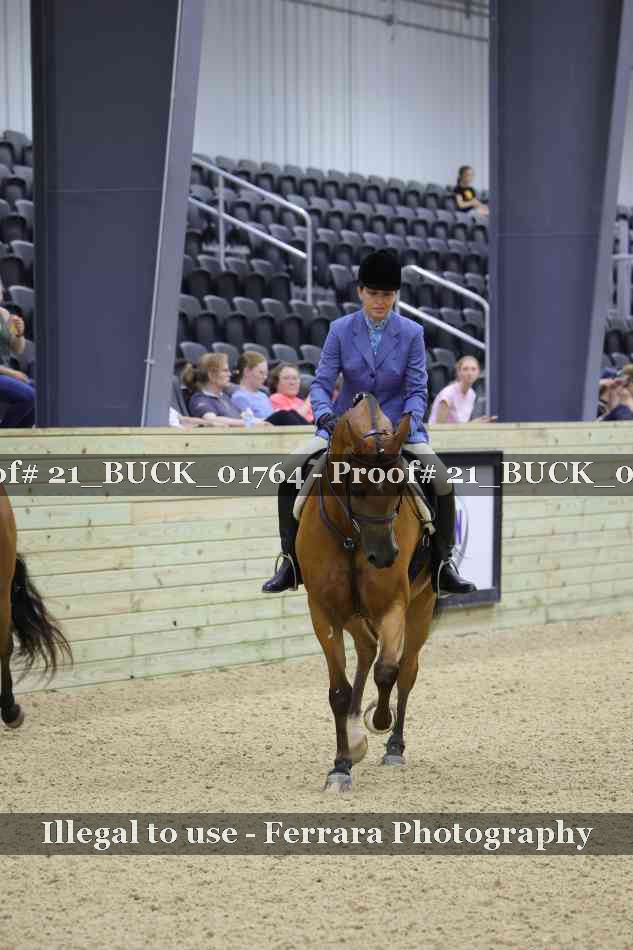 Proof 21_BUCK_01764