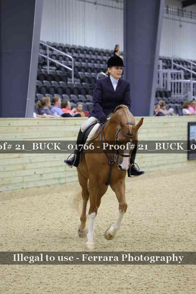 Proof 21_BUCK_01766