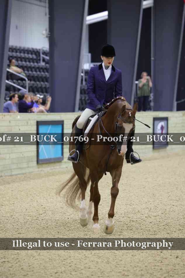 Proof 21_BUCK_01769