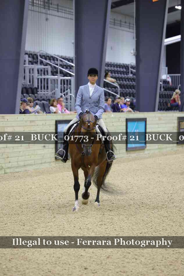 Proof 21_BUCK_01773