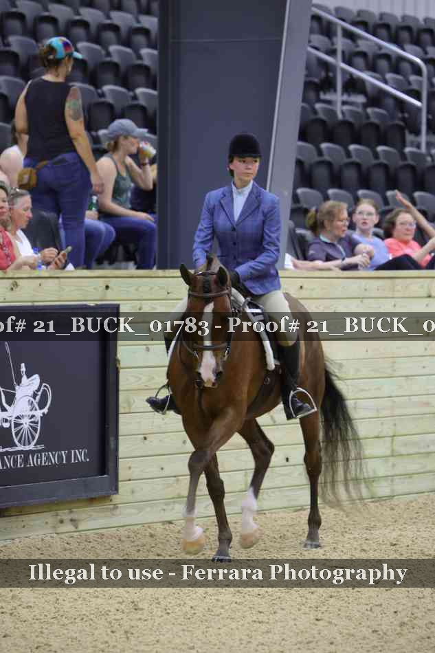 Proof 21_BUCK_01783