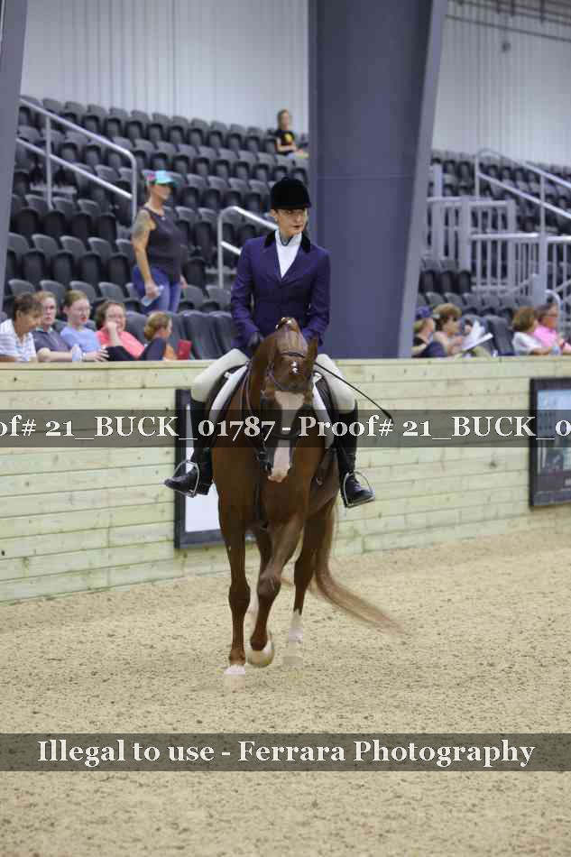 Proof 21_BUCK_01787