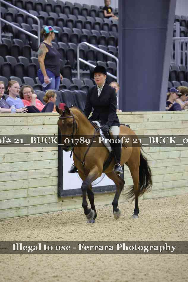 Proof 21_BUCK_01789
