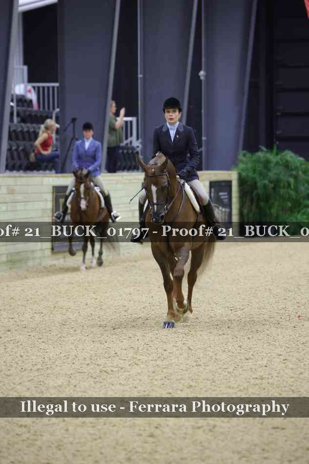 Proof 21_BUCK_01797