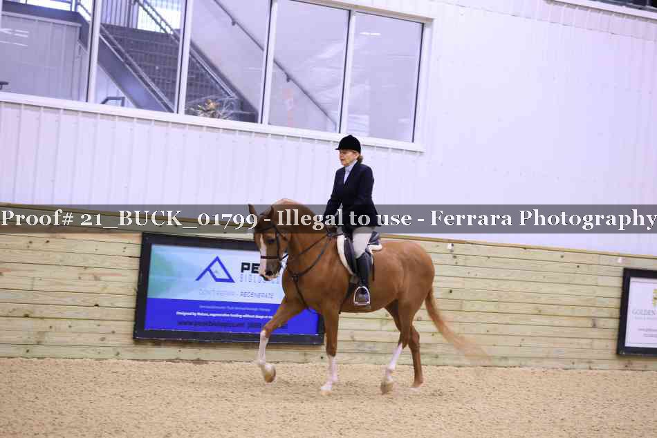 Proof 21_BUCK_01799