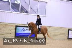 21_BUCK_01799 proof