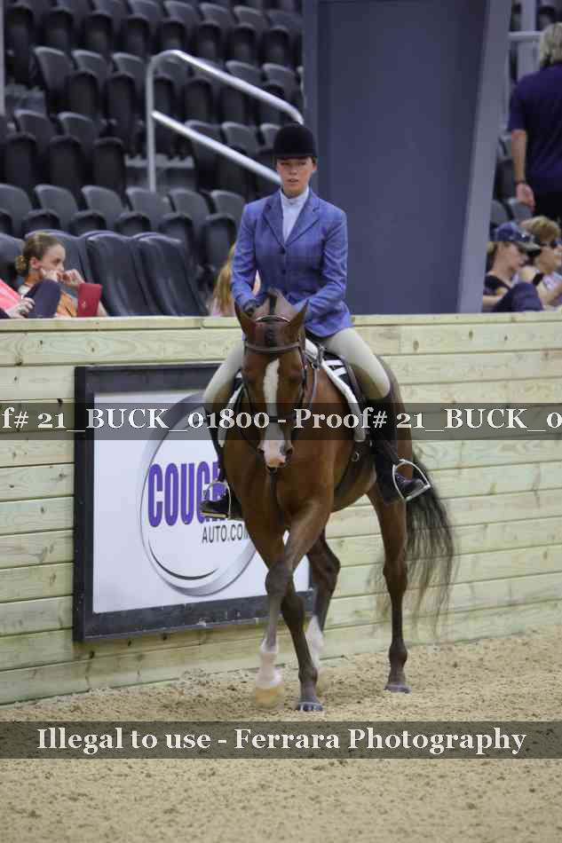 Proof 21_BUCK_01800