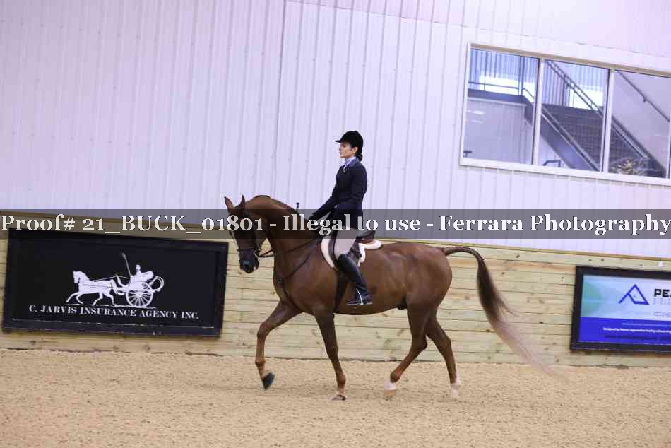 Proof 21_BUCK_01801