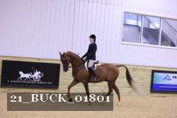 21_BUCK_01801 proof