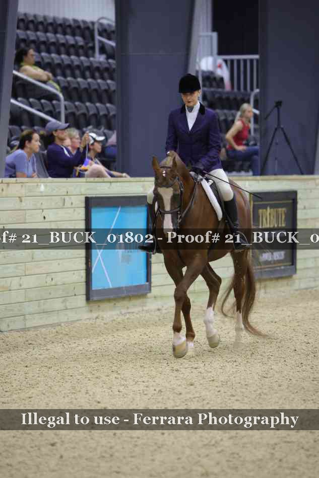 Proof 21_BUCK_01802