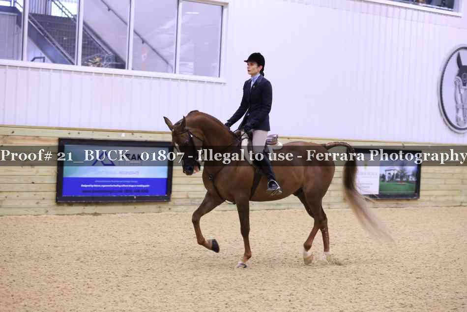 Proof 21_BUCK_01807