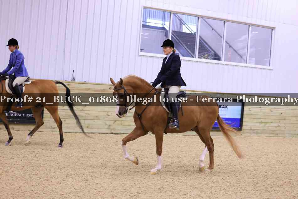 Proof 21_BUCK_01808