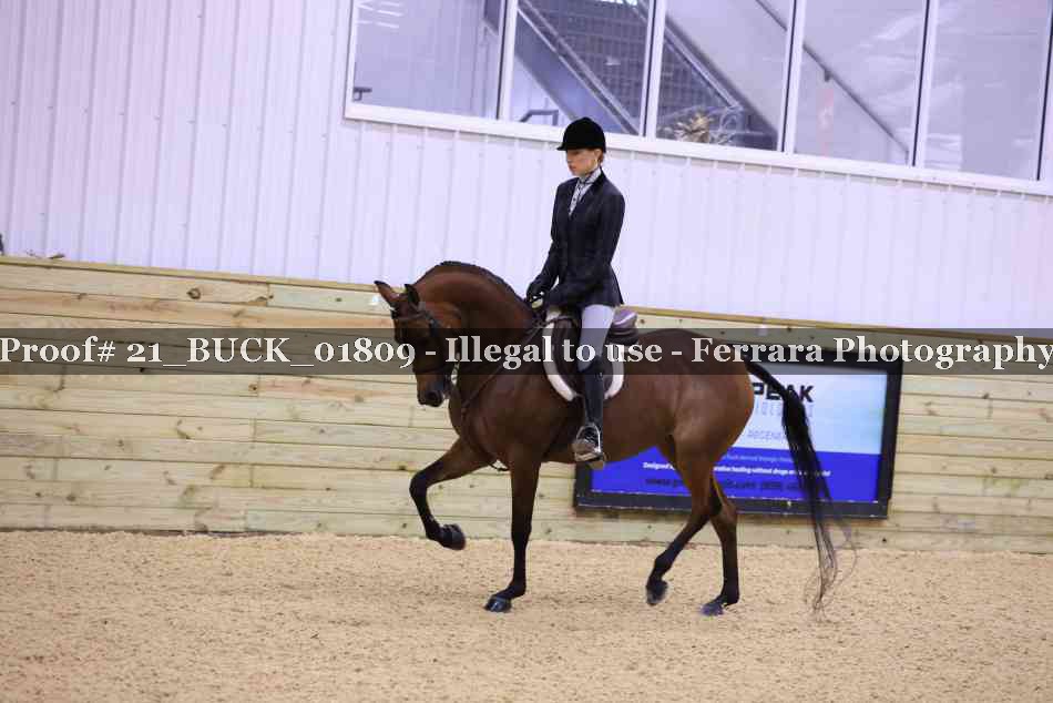 Proof 21_BUCK_01809