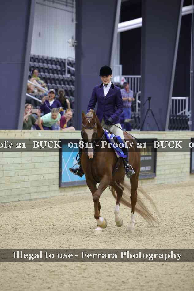 Proof 21_BUCK_01811