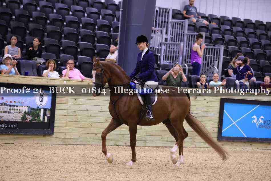 Proof 21_BUCK_01814