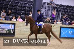 21_BUCK_01814 proof