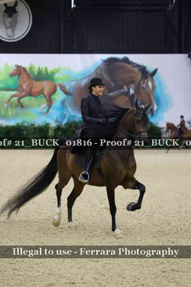 Proof 21_BUCK_01816