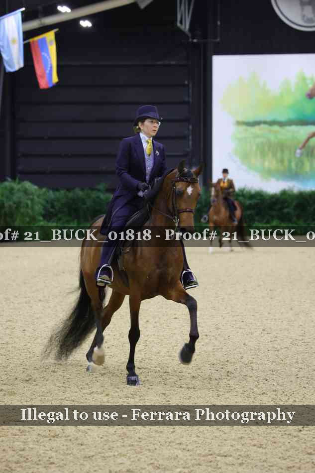 Proof 21_BUCK_01818