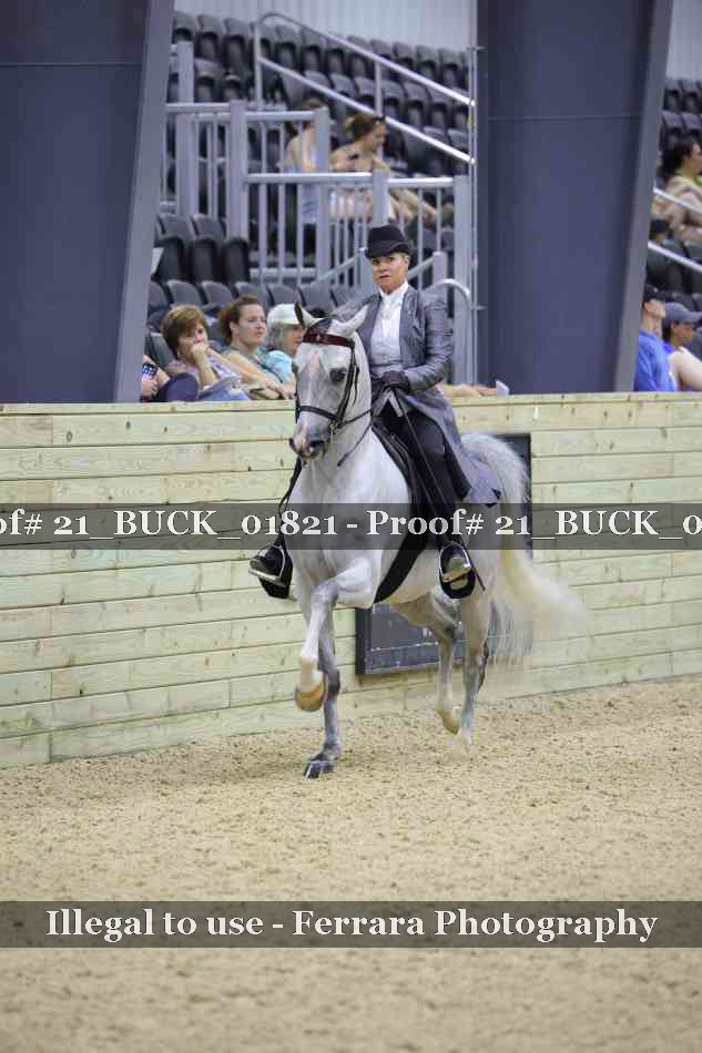 Proof 21_BUCK_01821