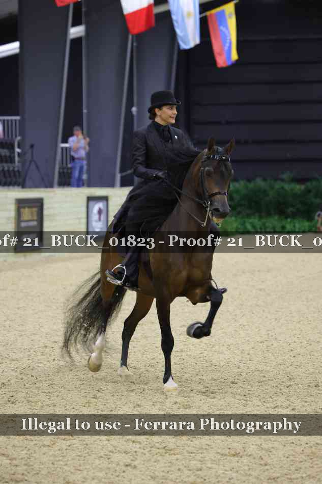 Proof 21_BUCK_01823