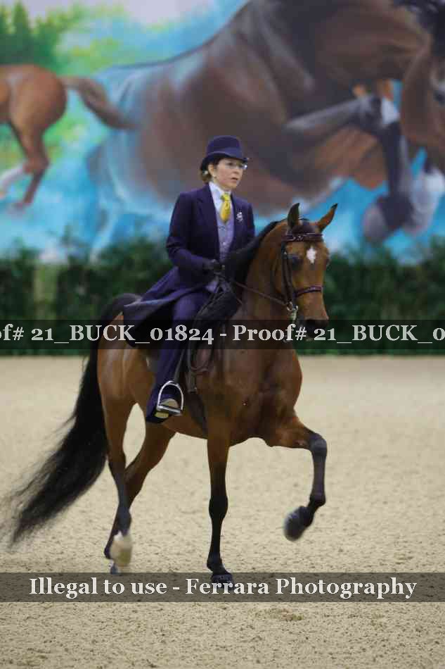 Proof 21_BUCK_01824