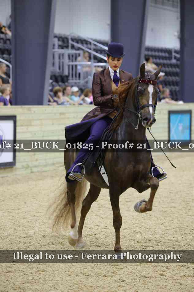 Proof 21_BUCK_01825
