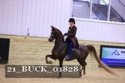 21_BUCK_01828 proof