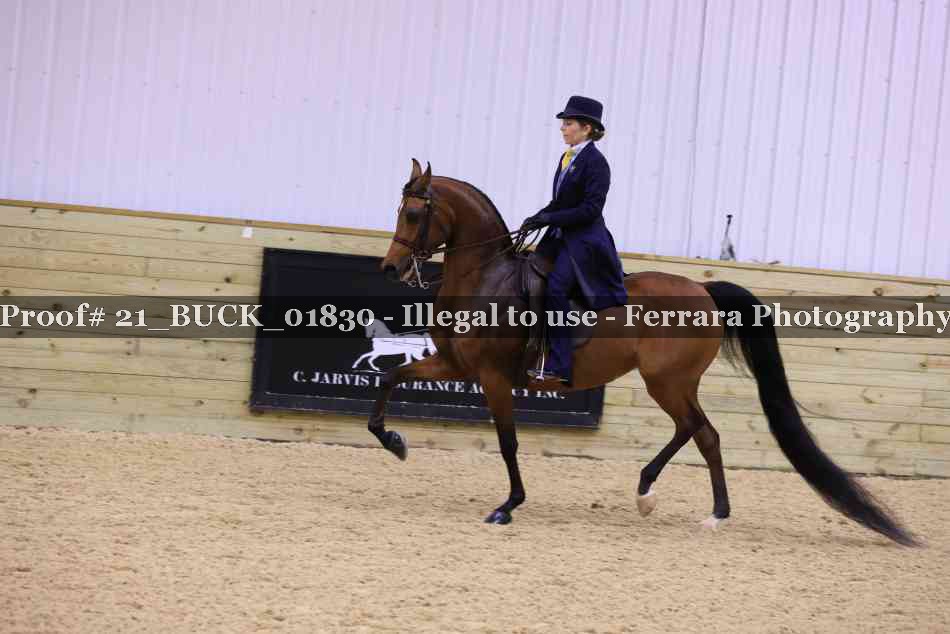 Proof 21_BUCK_01830