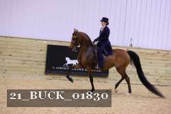 21_BUCK_01830 proof