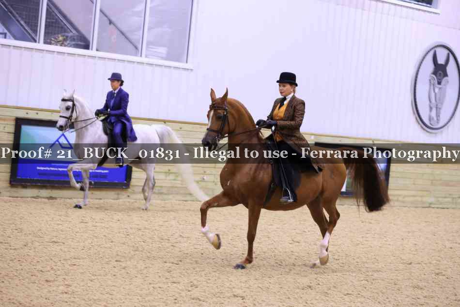 Proof 21_BUCK_01831