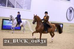 21_BUCK_01831 proof