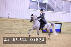 21_BUCK_01832 proof