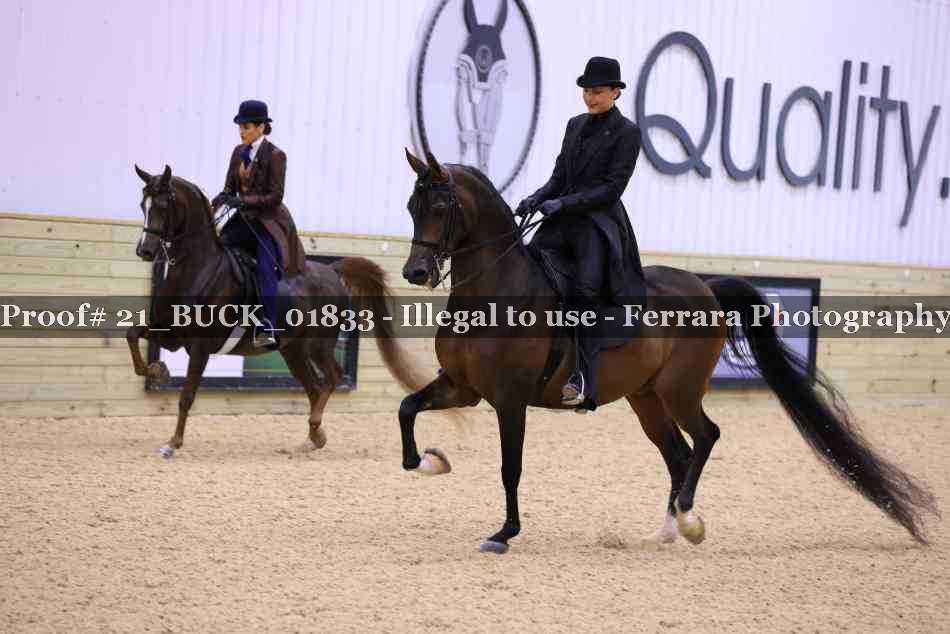 Proof 21_BUCK_01833