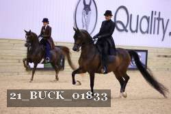 21_BUCK_01833 proof