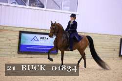 21_BUCK_01834 proof