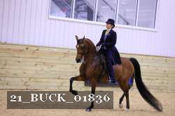 21_BUCK_01836 proof