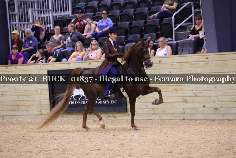 Proof 21_BUCK_01837