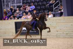 21_BUCK_01837 proof