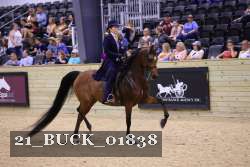 21_BUCK_01838 proof