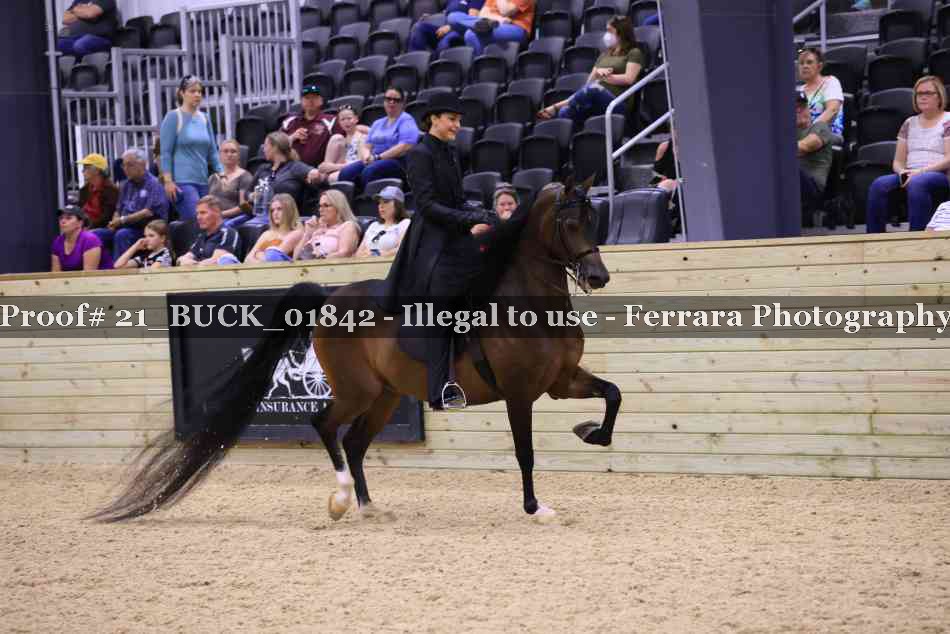 Proof 21_BUCK_01842