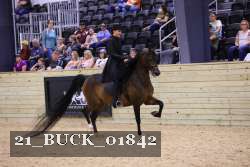 21_BUCK_01842 proof