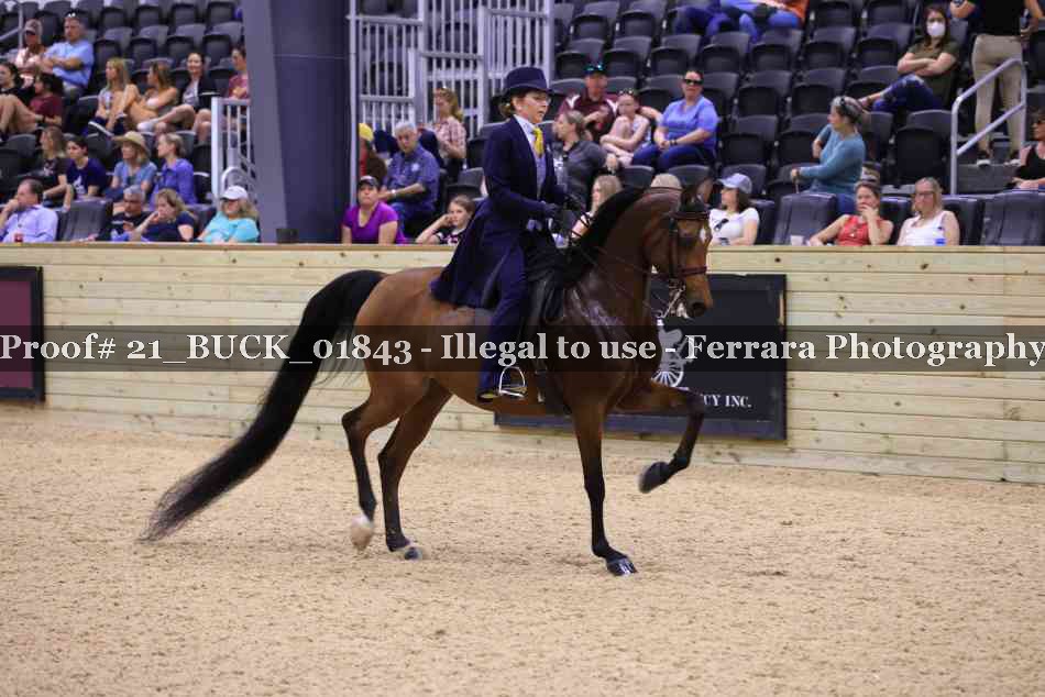 Proof 21_BUCK_01843