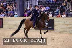 21_BUCK_01843 proof