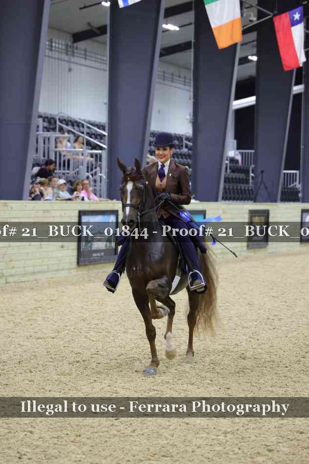 Proof 21_BUCK_01844