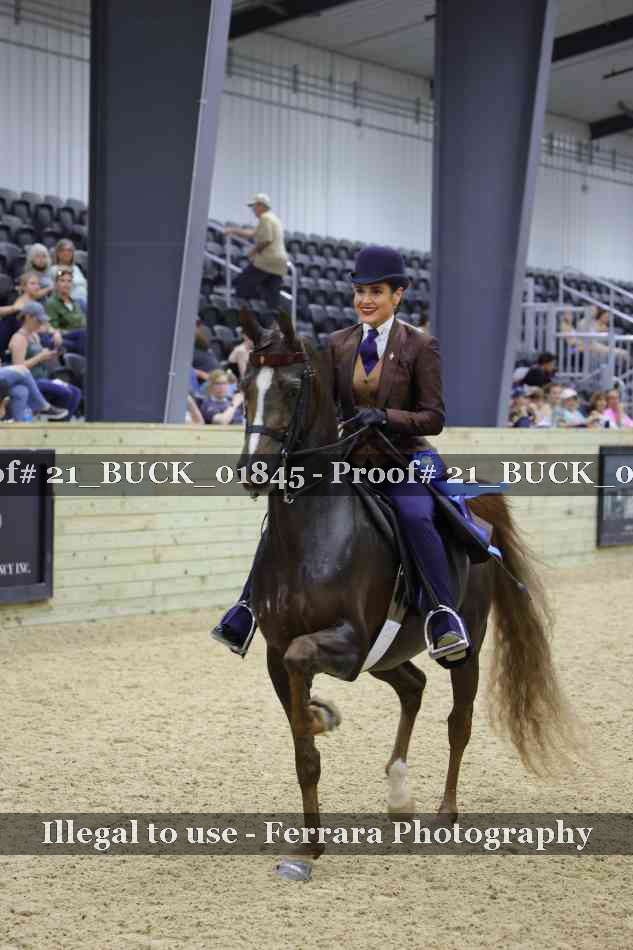 Proof 21_BUCK_01845