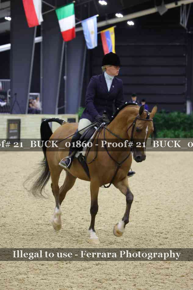 Proof 21_BUCK_01860
